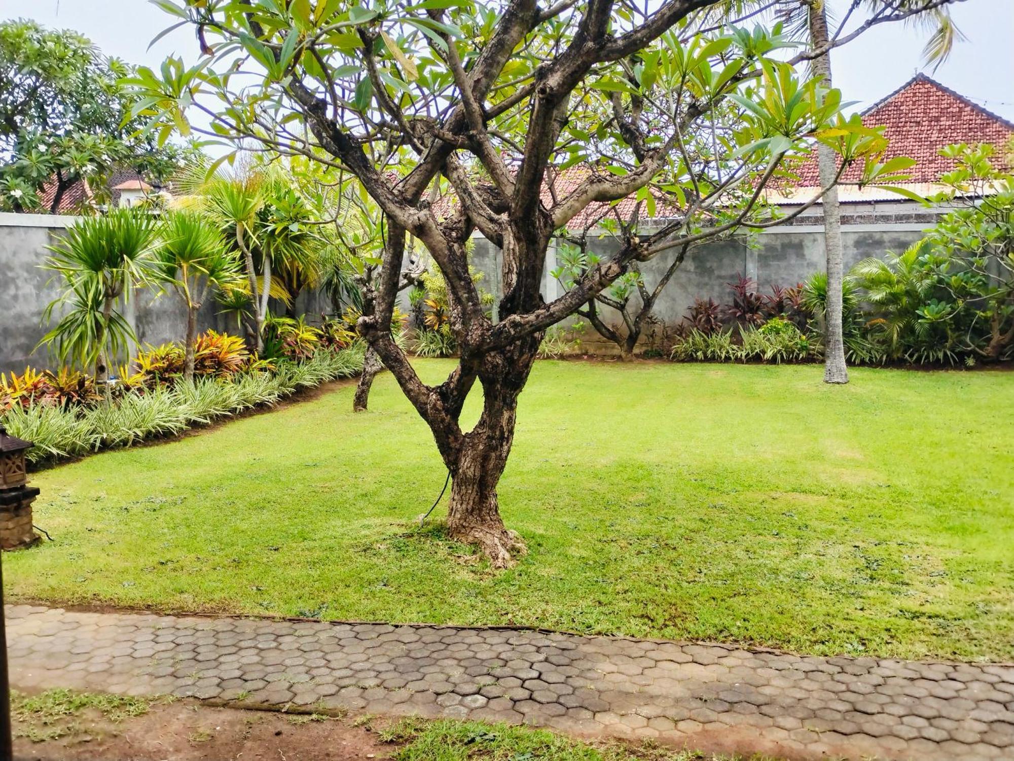 Bayumantra Lovina (Bali)