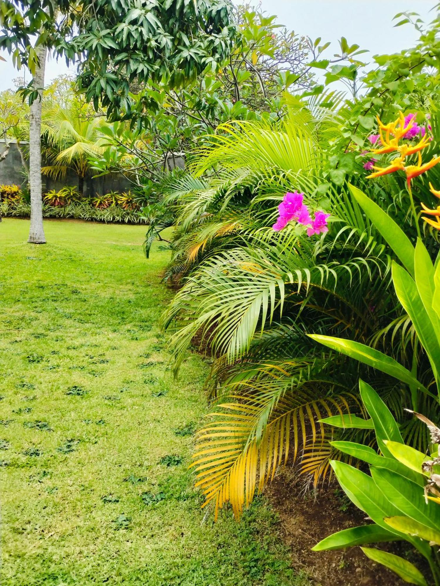 गेस्ट हाउस Bayumantra Lovina (Bali)