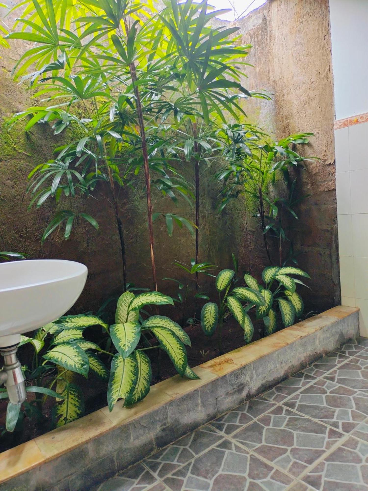 Bayumantra Lovina (Bali)