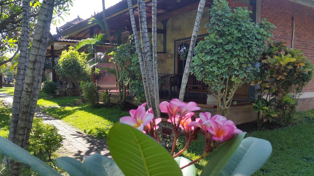 Bayumantra Lovina (Bali)